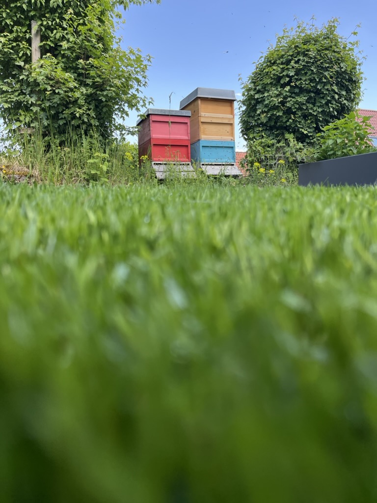 Bienenstand im Garten in Stuttgart-Botnang